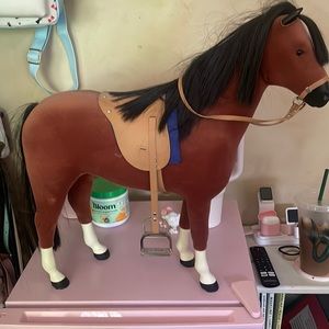 Good condition mane just needs to be brushed.